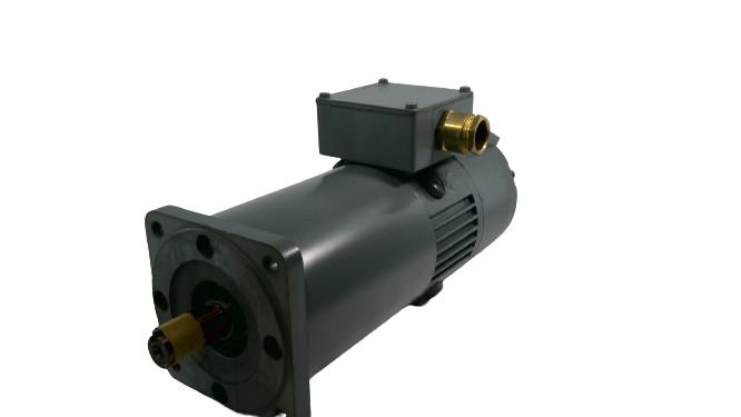 MAGNETIC MOTORS BR60S30/12