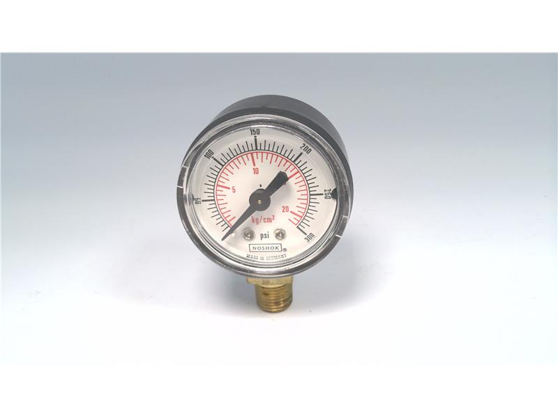NOSHOK 15-100-300-PSI/KG/CM2