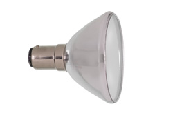 RADWELL VERIFIED SUBSTITUTE BW.GBK-SUB