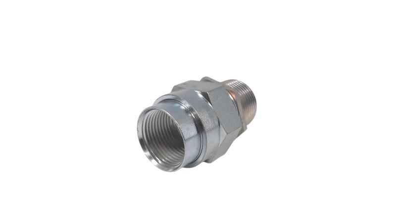 CORTEM GROUP BMF1NS