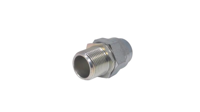 CORTEM GROUP BMF1NS