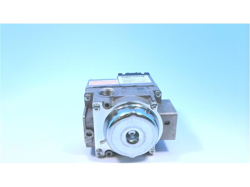 RAYPAK 004824F
