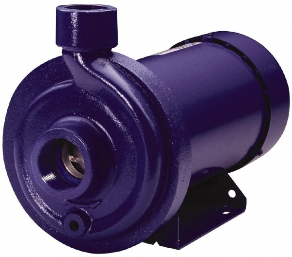 XYLEM 100MC1F1B0
