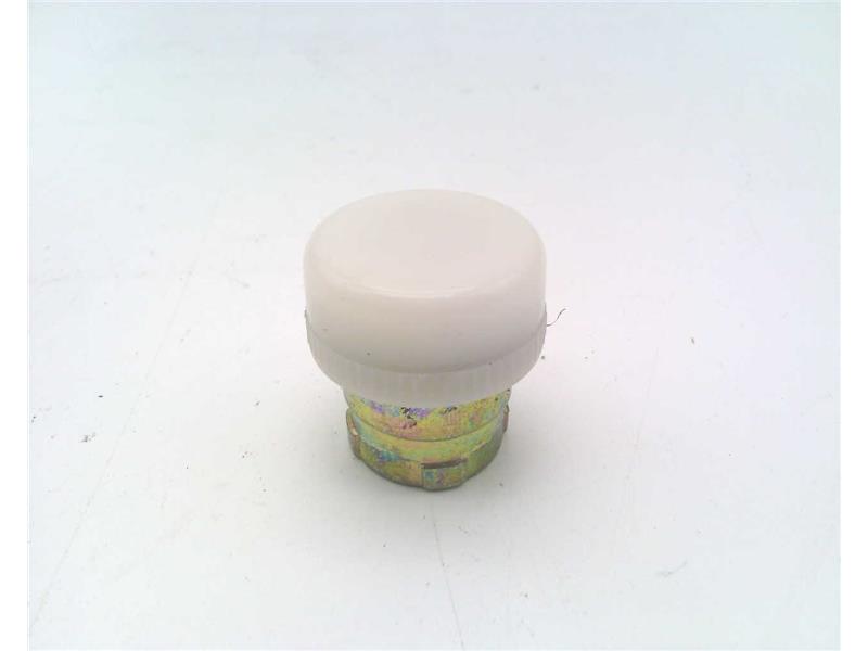 RAAS CONTROLS RB2-BVL01