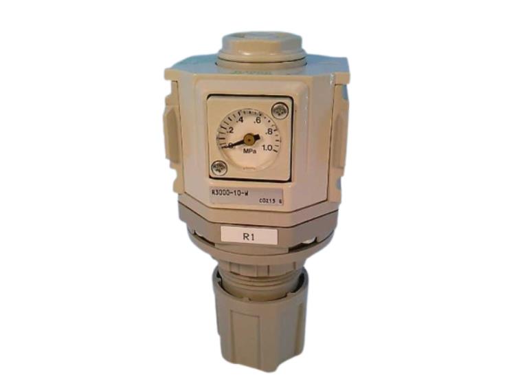 R3000-10-W por CKD CORP