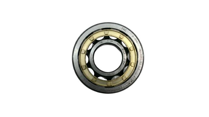 SCHAEFFLER GROUP NJ304-E-M1-C3