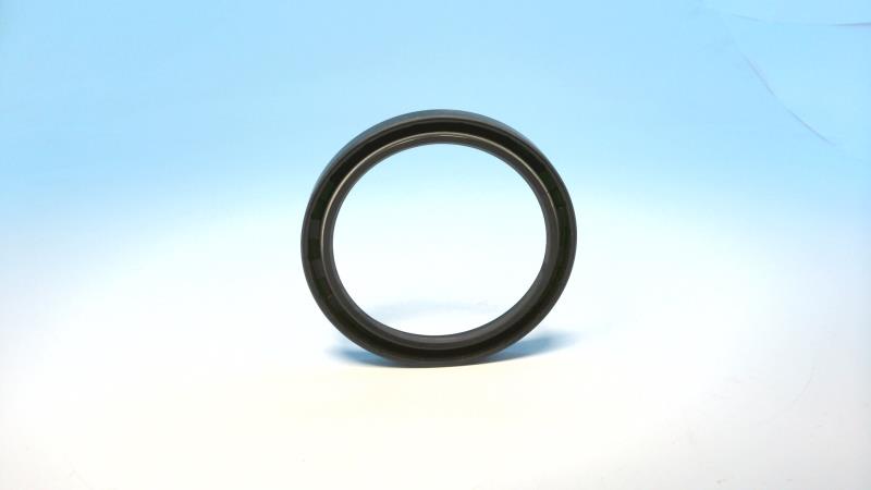 INTERNATIONAL SEAL & PACKING R00217