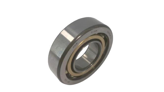 SCHAEFFLER GROUP 7307-B-MP-UA