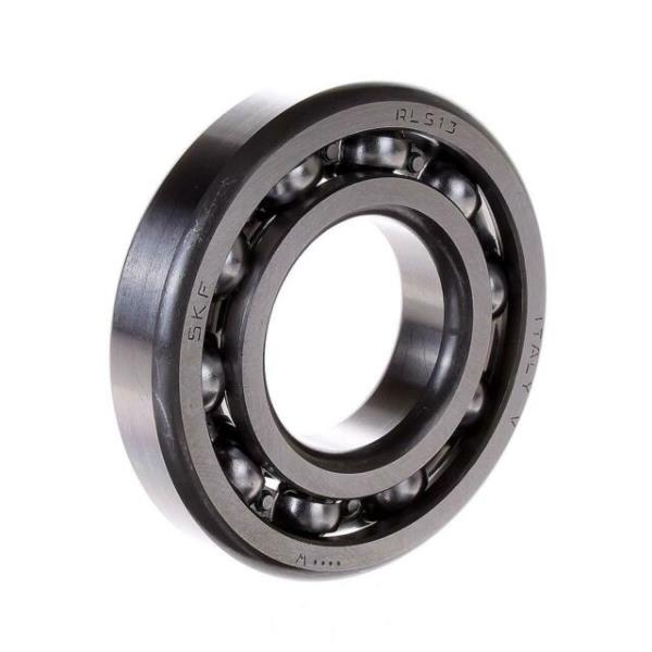 RLS-13 por SKF