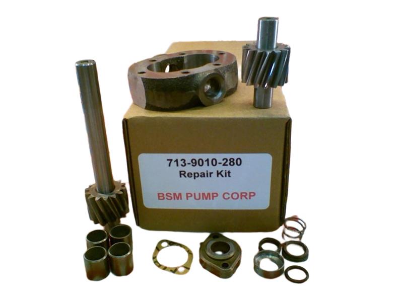 713-9010-280 by BSM PUMP
