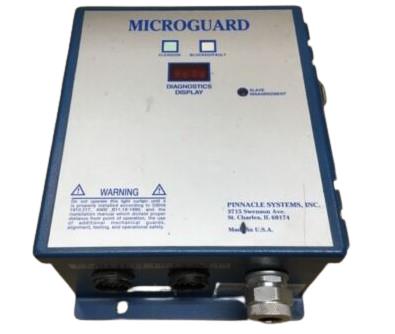 PINNACLE SYSTEMS INC MG-60-OF-20