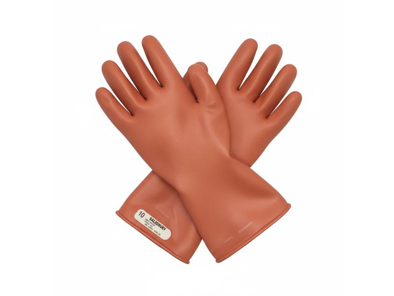 EL0011R/10 por SALISBURY