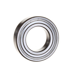 SCHAEFFLER GROUP 6006.2ZR.C3