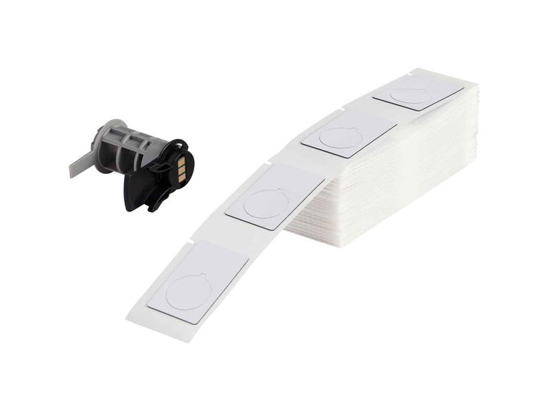 PTLEP-168-593 by BRADY