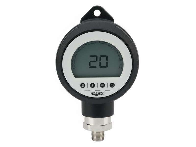 NOSHOK PGE20-150PSIG-1-2-DL-RCP-CC