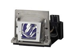 RADWELL VERIFIED SUBSTITUTE LX-6200-SUB (LAMP & HOUSING)