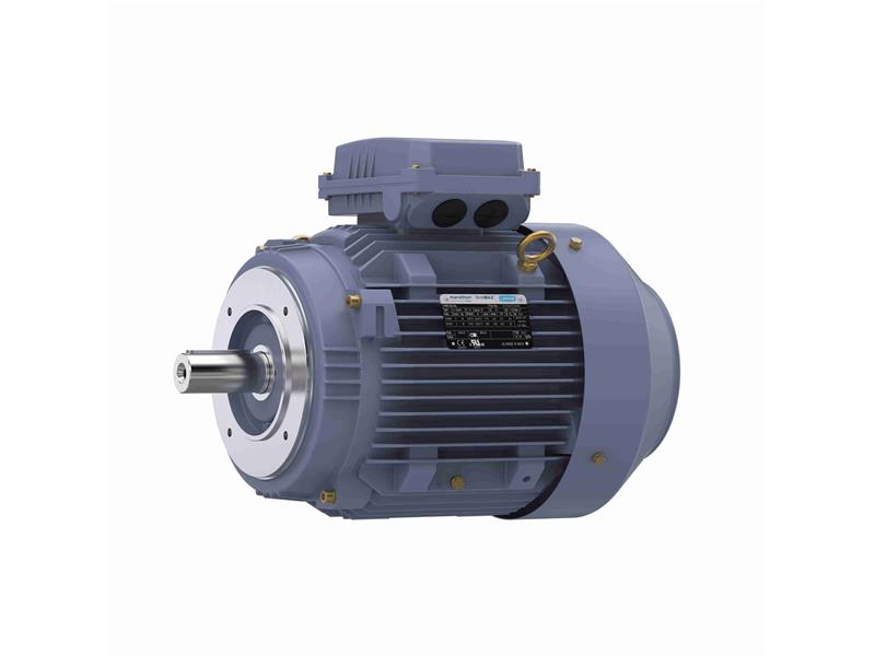 REGAL REXNORD TCA0033AE271GAA009