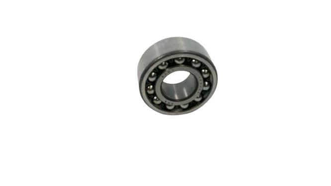 SNR 2307
