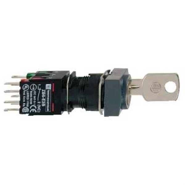 SCHNEIDER ELECTRIC XB6DGC5B