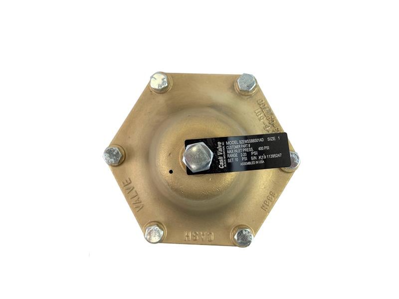 CASH VALVE BZEWSSBBS01AD