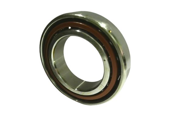 SCHAEFFLER GROUP B7008-C-T-P4S-UL