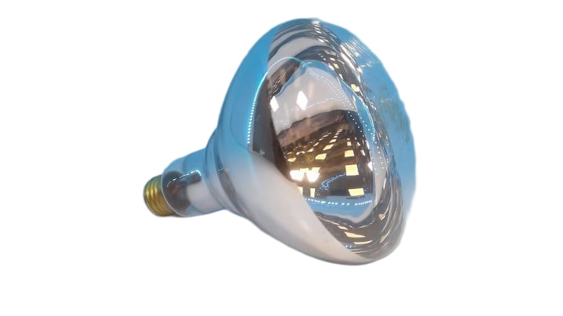 125BR40/I/120V/4/ITP by PHILIPS