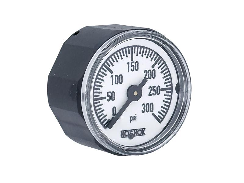 NOSHOK 10-110-300-PSI