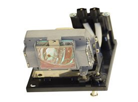 RADWELL VERIFIED SUBSTITUTE ETSLMP117-SUB (LAMP & HOUSING)