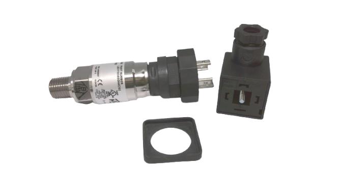 WINTERS LE31103S5GN4CVU