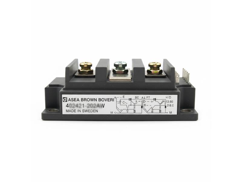 402421-202AW by ASEA BROWN BOVERI