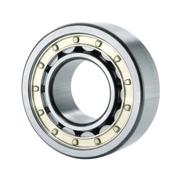 SCHAEFFLER GROUP NU205-E-XL-M1