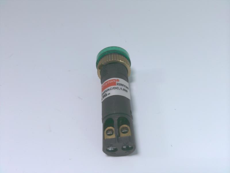 GRAINGER 22NY95