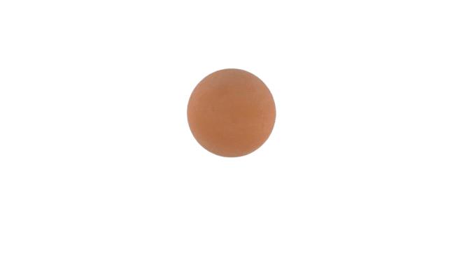 WILDEN 01-1080-58