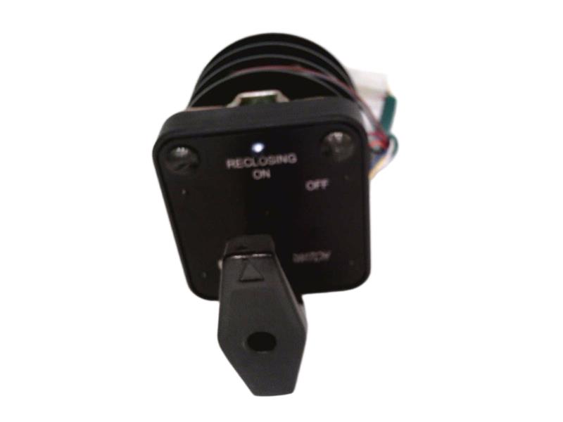 ELECTROSWITCH 24PA202MH