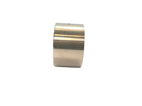 RISCO 20600081