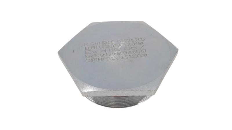 CORTEM GROUP PLG6IS