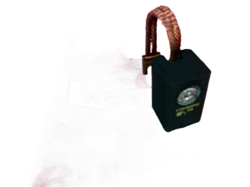 1726484-P01-LH par CARBON PRODUCTS OPERATION INC