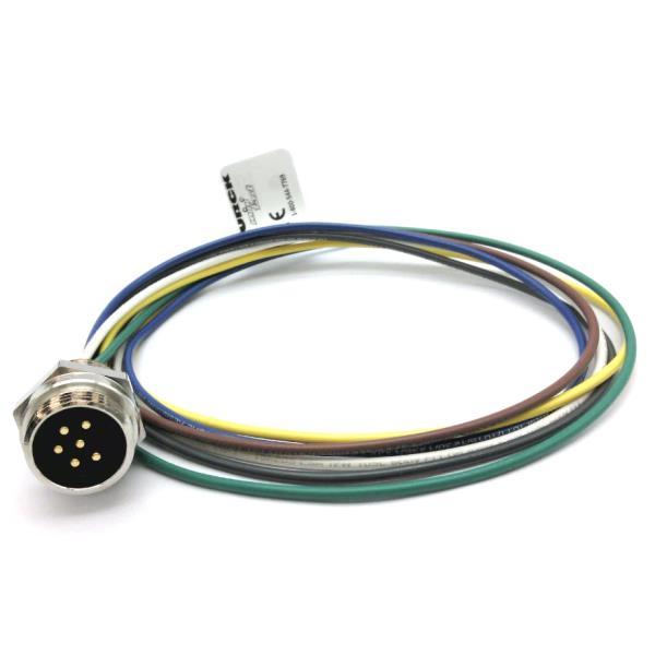 TURCK RSF 66-0.3M/NPT