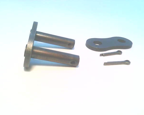 RENOLD CHAIN 100-1/11I