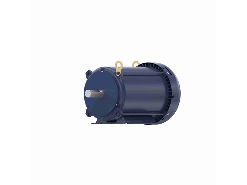 REGAL REXNORD 213TTFBD6002