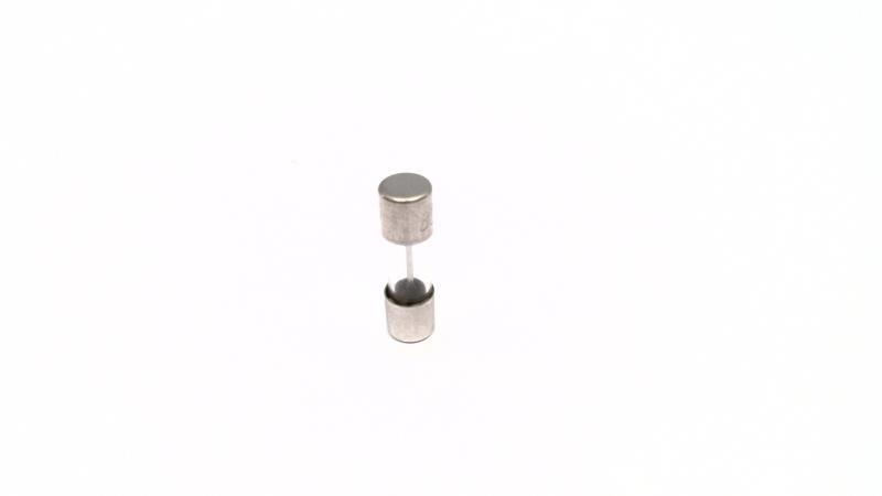 LITTELFUSE T125MAL/250V