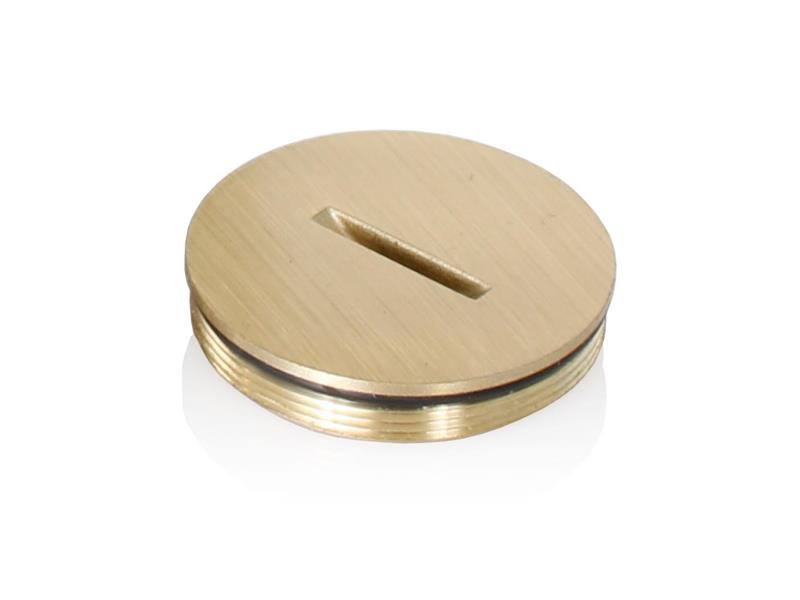 LEVITON 5249-CAP