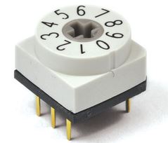 E SWITCH RDTDR10P1T