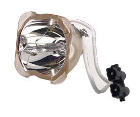 TDP-D1-SUB (BARE LAMP ONLY) por RADWELL VERIFIED SUBSTITUTE