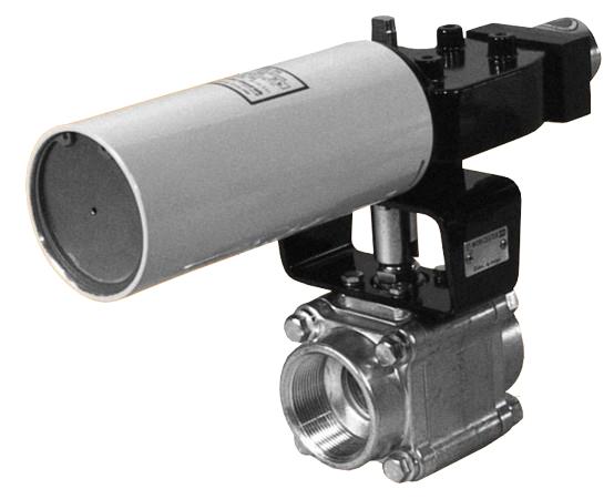 A34SW-120  par FLOWSERVE