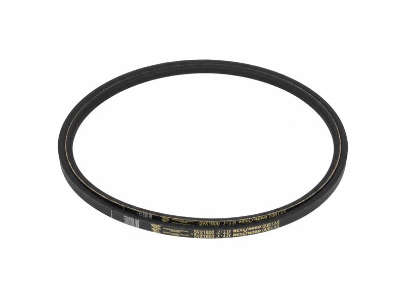 REGAL REXNORD 5VX1800