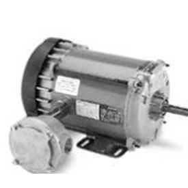 REGAL REXNORD F0M-56T17E5309D