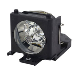 RADWELL VERIFIED SUBSTITUTE 456-8066-SUB (LAMP & HOUSING)