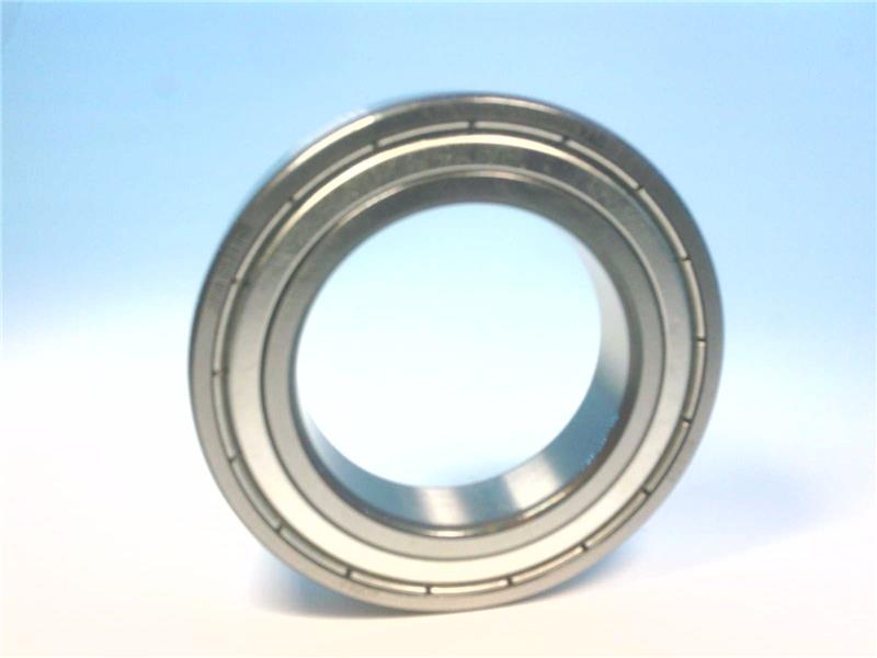 SCHAEFFLER GROUP 6010.2ZR.C3.L38