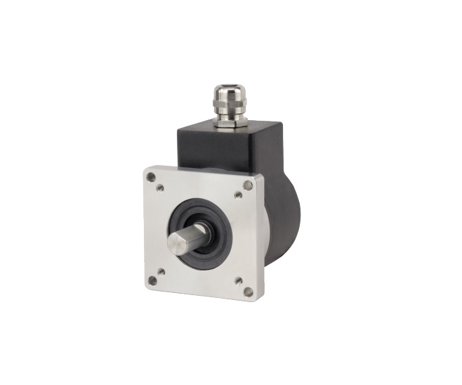 RADWELL 702-20-S-1000-D-HV-1-G-1-SX-N-N